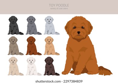 Spielzeug-Poodle-Clipkunst. Unterschiedliche Posen, Farben für die Fellfarbe.  Vektorgrafik