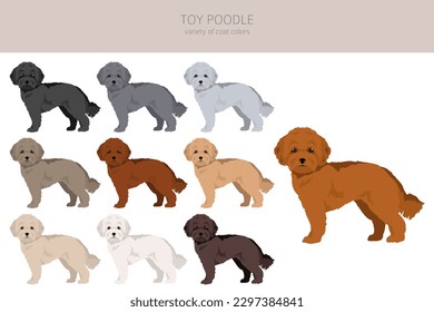 Spielzeug-Poodle-Clipkunst. Unterschiedliche Posen, Farben für die Fellfarbe.  Vektorgrafik