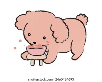 Toy poodle eating dog food 2