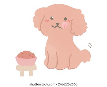 Toy poodle eating dog food 1