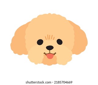 toy poodle face head icon