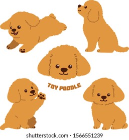 Toy Poodle flat colored set