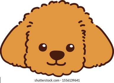 Toy Poodle front head outlined