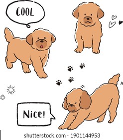 
Toy Poodle line art vector illustration set