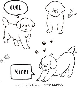 
Toy Poodle line art vector illustration set