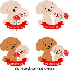 Toy poodle parent and child