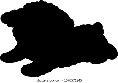 Toy Poodle puppy jumping silhouette