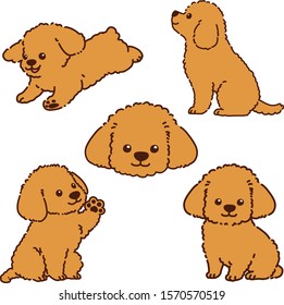 Toy Poodle puppy outlined set