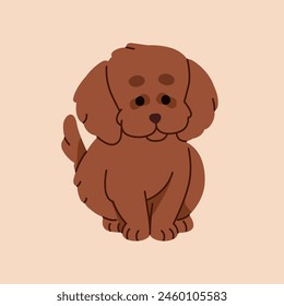 Toy poodle puppy se sienta. Lindo perro mullido. Cachorro divertido de maltipoo, labradoodle, cockapoo. Pequeño perrito con adorable bozal. Mascota de raza canina en miniatura. Ilustración vectorial plana aislada