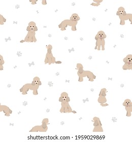 Toy poodle seamless pattern. Different poses, coat colors set.  Vector illustration
