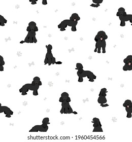 Toy poodle seamless pattern. Different poses, coat colors set.  Vector illustration