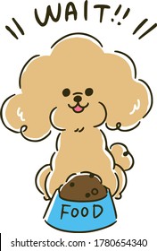 Toy poodles are waiting for food.