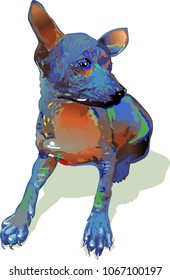 Toy Terrier multicolored vector illustration isolated on white background