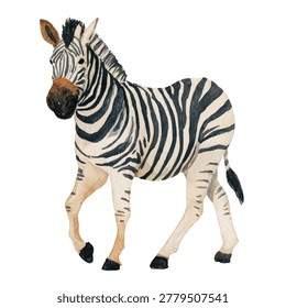 A toy zebra figurine walking alone