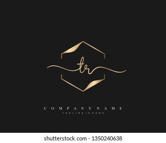 TR initial handwriting logo template vector
