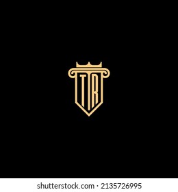 TR line concept logo in high quality professional design that will be best for companies related to real estate