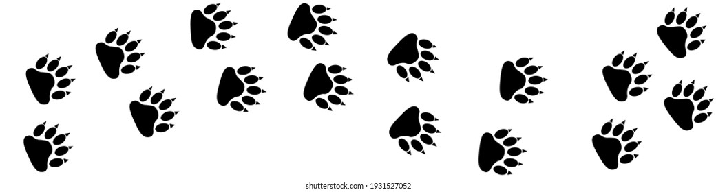 Trace of bear paw, path with paw footprints, bear trace background isolated illustration cartoon repeat wallpaper – stock vector