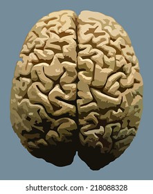 Trace brain on blue background