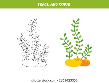 Trace and color cartoon sea weeds. Worksheet for kids.