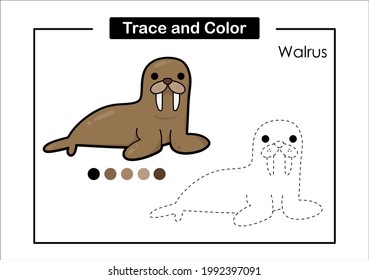 Trace and color game for kids with cute sea animal life walrus
