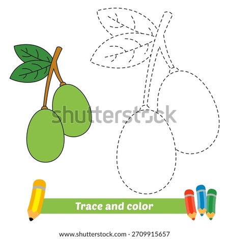 trace and color for kids, ambarella vector