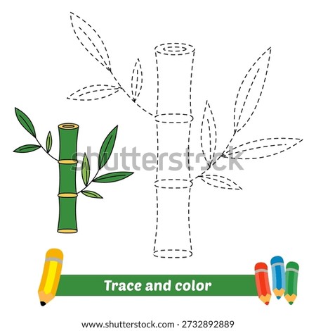 trace and color for kids, bamboo vector