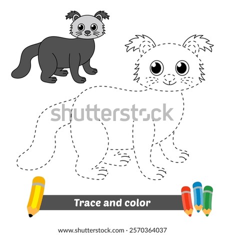 trace and color for kids, binturong vector