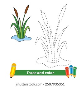 trace and color for kids, cattails vector
