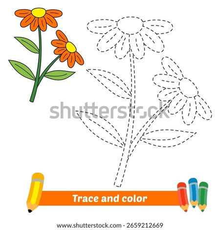 trace and color for kids, flower vector