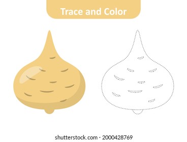 Trace and color for kids, jicama vector