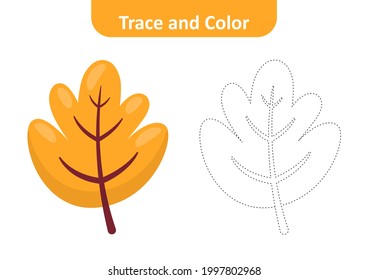 Trace And Color For Kids, Leaf Vector