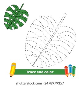 trace and color for kids, monstera leaf vector