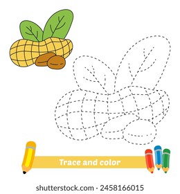 trace and color for kids, peanut vector