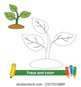 trace and color for kids, plant seed vector