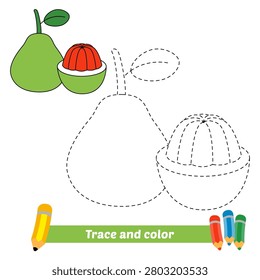 trace and color for kids, pomelo vector