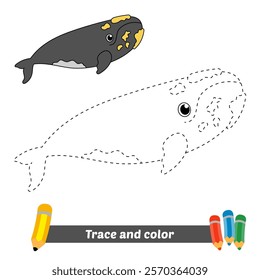 trace and color for kids, right whale vector
