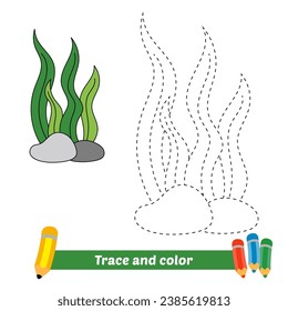 trace and color for kids, seaweed vector
