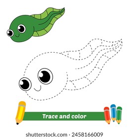 trace and color for kids, tadpole vector