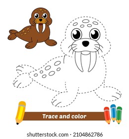 Trace And Color For Kids, Walrus Vector