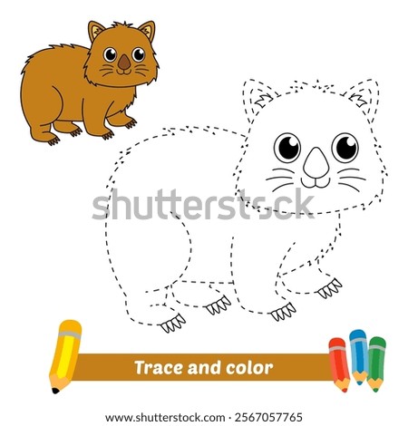 trace and color for kids, wombat vector
