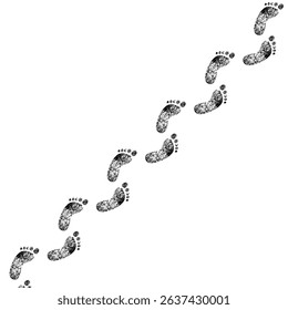 Trace of footprints isolated on white background. Footsteps track. Vector illustration