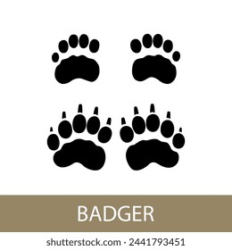 Trace of forest animal European badger, Eurasian badger footprint, vector illustration