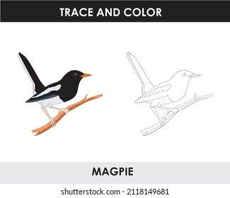 Trace the line and color the picture