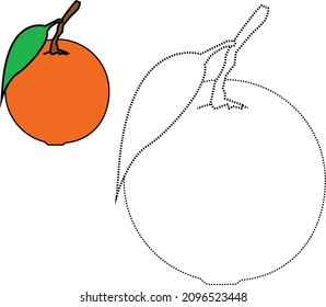 trace the line and colour the Orange with leaf