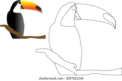 rastrear la línea y el color del ave Toucan