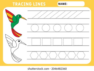 Trace line worksheet for kids. Basic writing. Working pages for children. Funny little hummingbird. Preschool or kindergarten worksheet. Trace the pattern. Illustration and vector outline - A4 paper