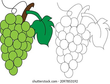 Trace Lines Colour Grapes Stock Vector (Royalty Free) 2097853192 ...