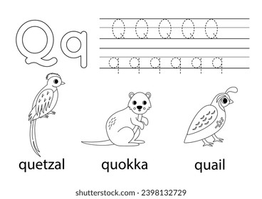 Trace uppercase and lowercase letter Q. Black and white worksheet for learning alphabet.