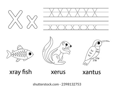 Trace uppercase and lowercase letter X. Black and white worksheet for learning alphabet.