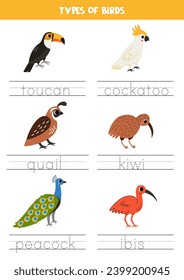 Trace words. Handwriting practice for preschool kids. Types of birds.